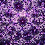 Maple - Purple/Pink