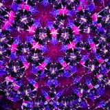 Maple - Purple/Pink