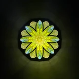 Daisy On The Hill (Y)