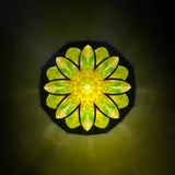 Daisy On The Hill (Y)