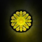 Daisy On The Hill (Y)