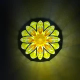 Daisy On The Hill (Y)