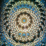 Cell: Shells with blue background