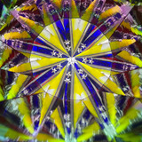 Spinner ('93)