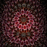 Rosette