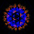 Forest Fantasy (Small)