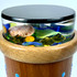 Detail: Object cell