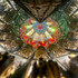 Pegascoptylus - One Of A Kind