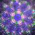 Under UV Black Light