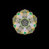 Seascope - Pāua Abalone