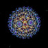 Zoomed out view