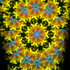 Wildflower