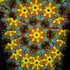 Wildflower