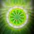 Midori
