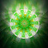 Midori