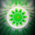 Midori