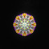 Golden Flame (6/6)