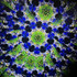 Chromatic Bloom