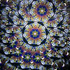 Chromatic Bloom