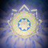 Neon Lotus (W)