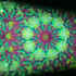 Green 'Hubble Bubble'
