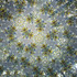 Zoomed in - MOVED THE LIGHT NOT THE SCOPE!