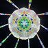 Archidichroic