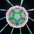 Archidichroic