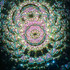 A Carousel (D1)