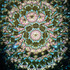 A Carousel (D1)