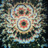 A Carousel (C1)