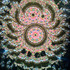 A Carousel (B1)