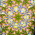 In Bloom #1
