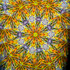 In Bloom #1