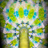 Green Tit