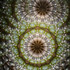 Teleidoscope