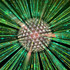 Space Teleidoscope
