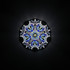Cosmic Bloom