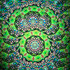 Green/Lime 9-POINTS