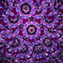 Maple - Purple/Pink