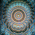 Cell: Shells with blue background