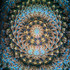 Cell: Shells with blue background