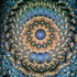 Cell: Shells with blue background