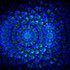Lit with a UV Black light, just for fun