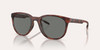 Native Eyewear Targhee - Grey Polarized, Matte Tortoise