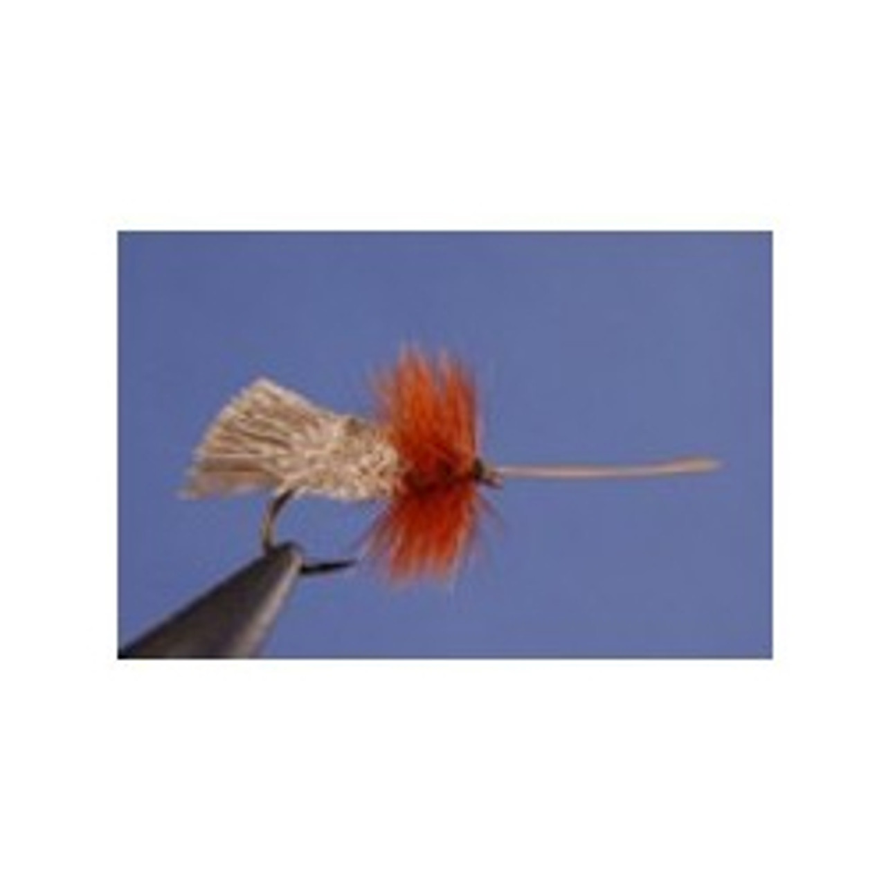 Dry Flies - Goddard Caddis - Hook Size : 14 
