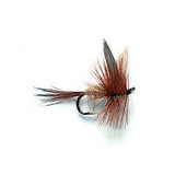 Dry Flies - Gold Ribbed Hare Ear - Hook Size : 14