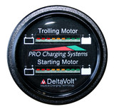 Dual Pro Battery Fuel Gauge For 1 - 24v, 1 -12v  Systems
