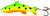 Acme S302/MPR Phoebe Spoon, 1 5/8", 1/8 oz, Firetiger