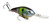 Strike King - Pro Model 6XD Crankbait